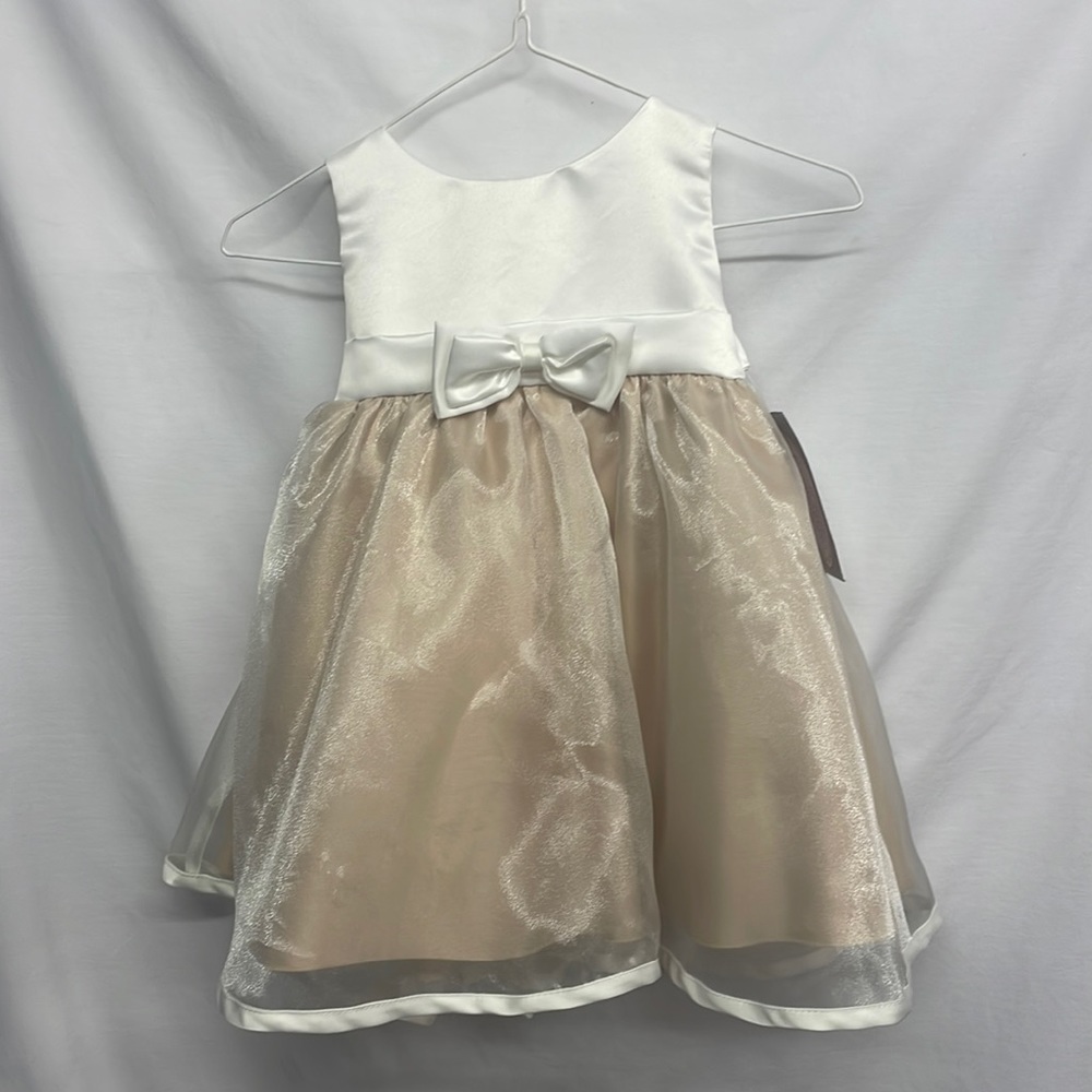 Cinderella Couture Little Girls dress size L - 12-18 months